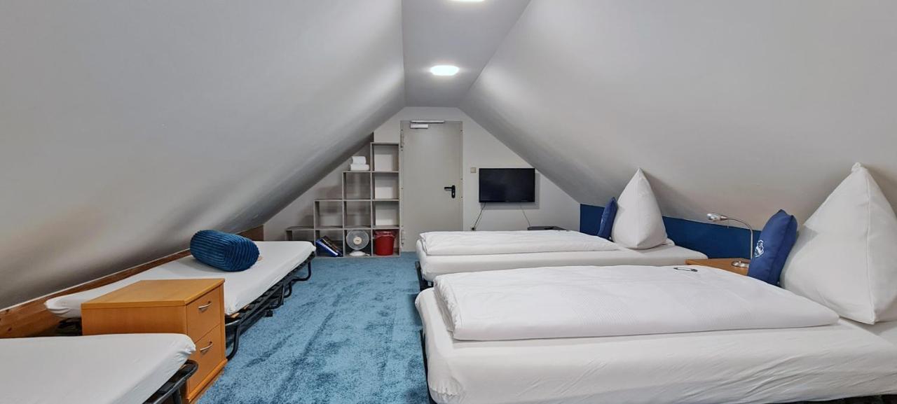 Donau-Hotel Sinzing Екстериор снимка